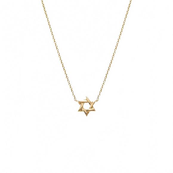 NEW ADINA EDEN mini solid star of david necklace in gold - Picture 1 of 3